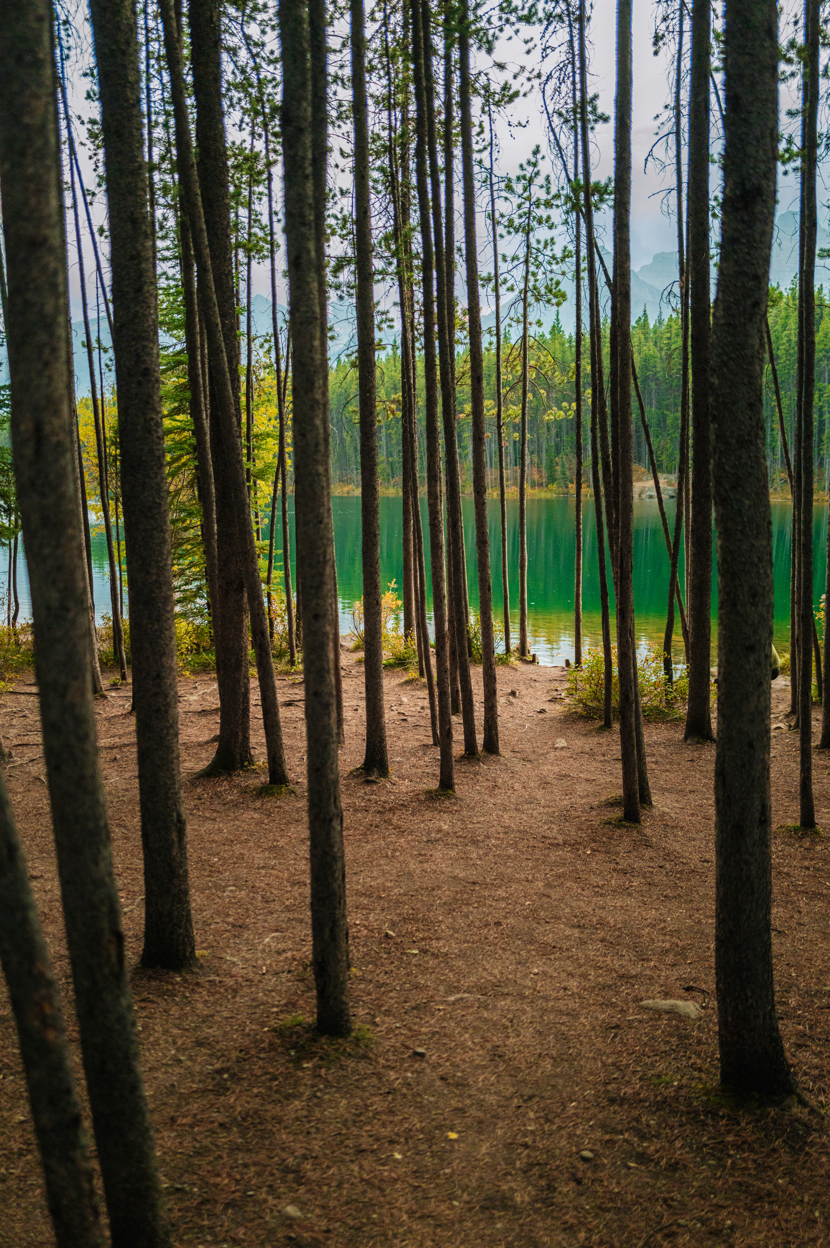 Banff photograph