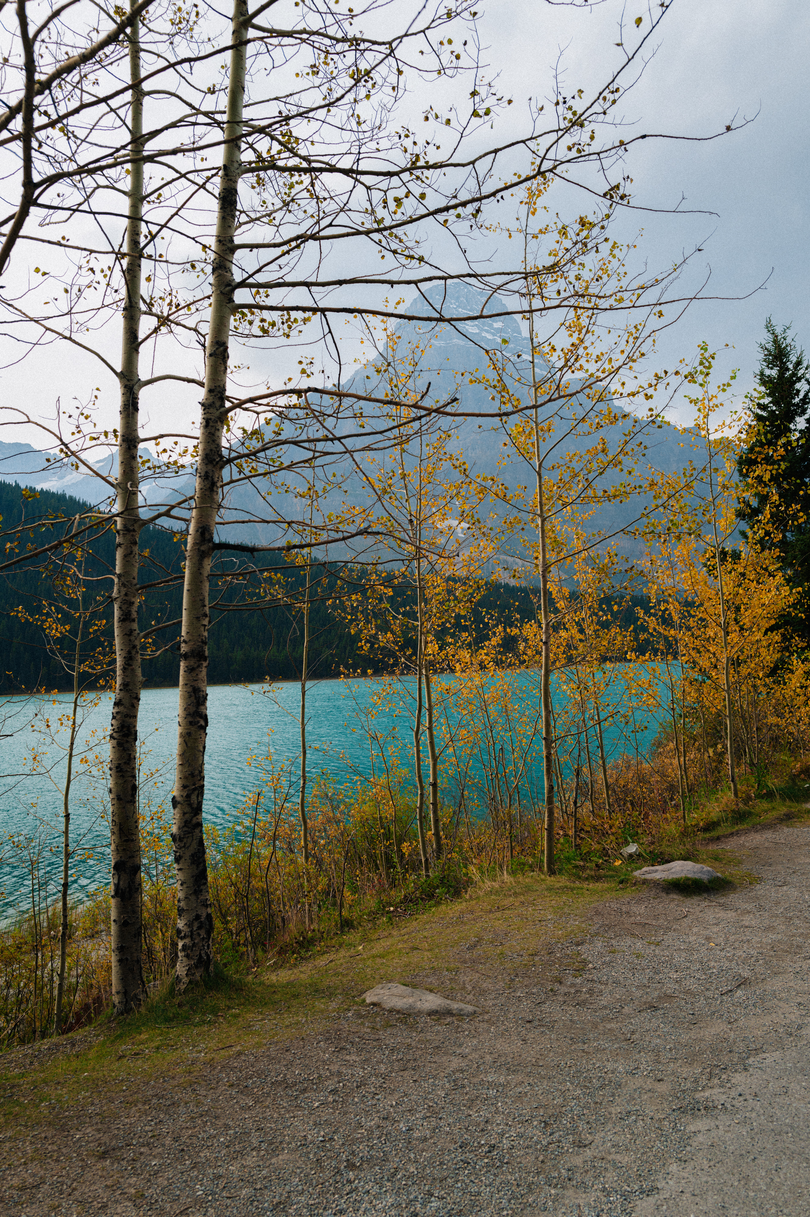 Banff photograph