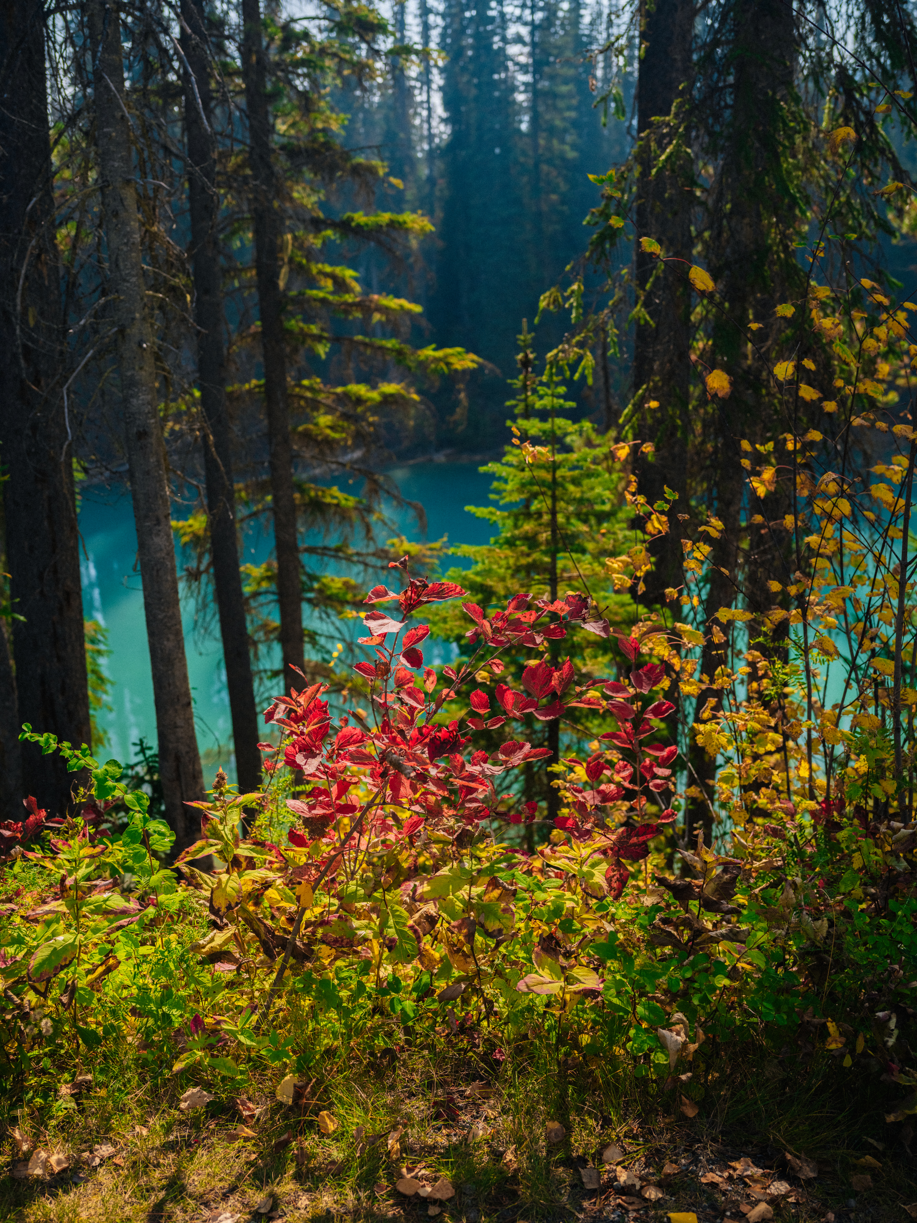 Banff photograph