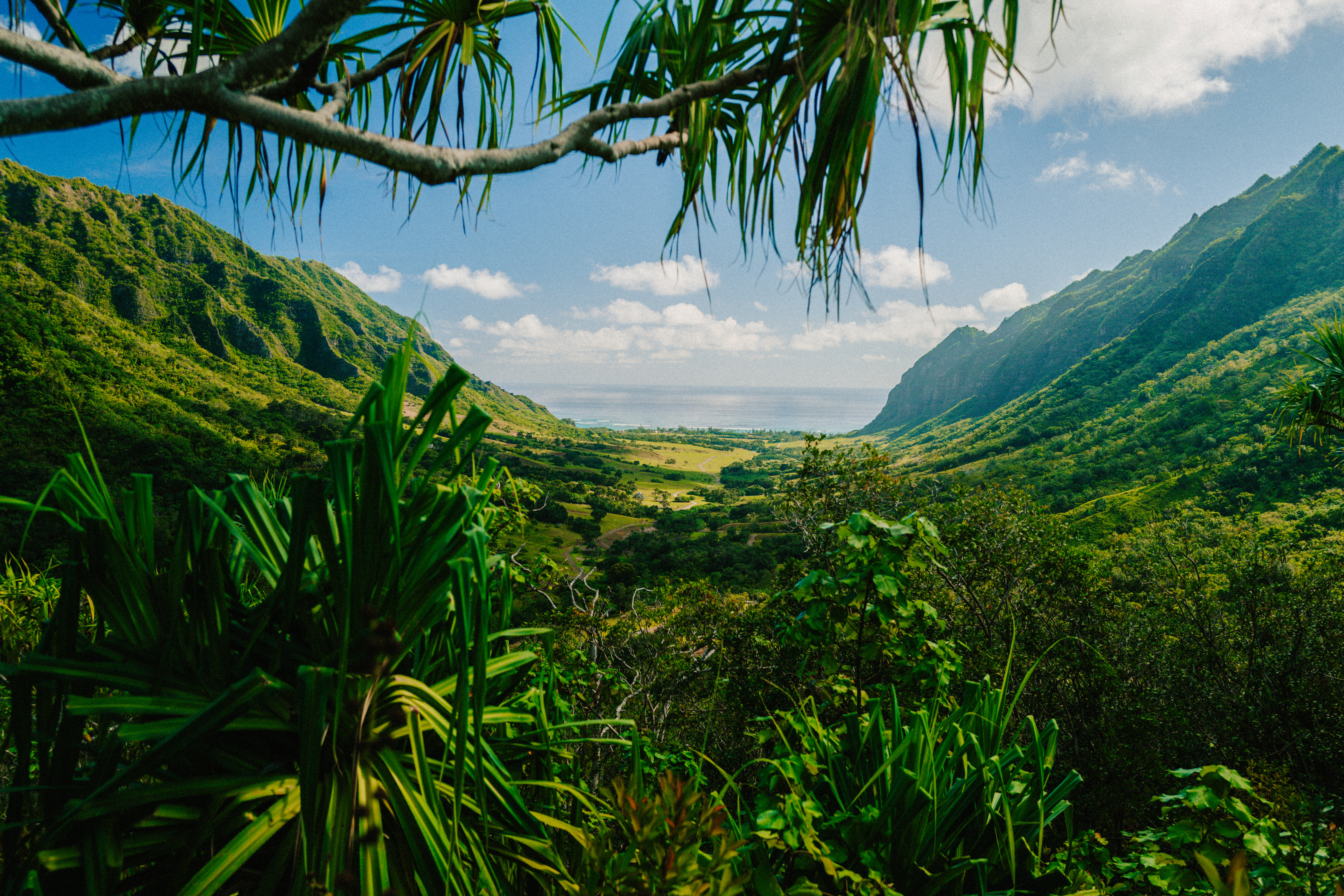 Oahu
