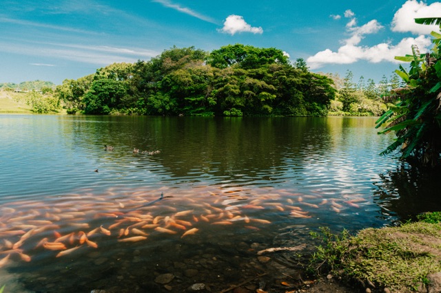 Oahu photograph