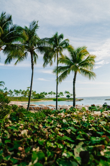 Oahu photograph