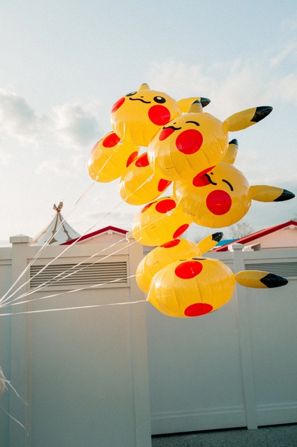 PokePark Kanto photograph