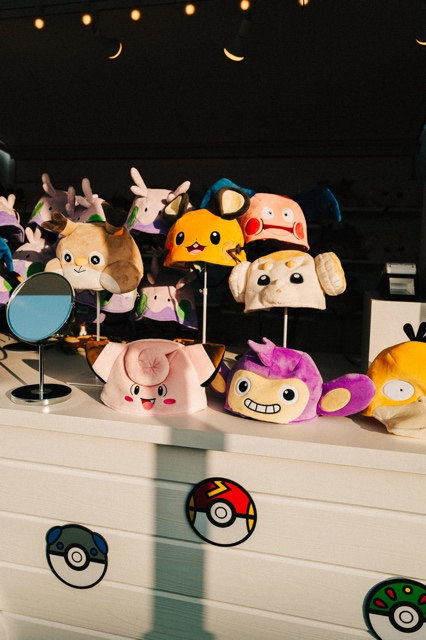PokePark Kanto photograph