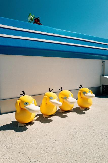 PokePark Kanto photograph