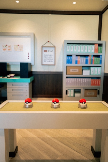 PokePark Kanto photograph