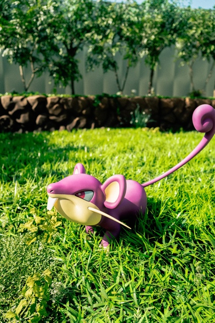 PokePark Kanto photograph