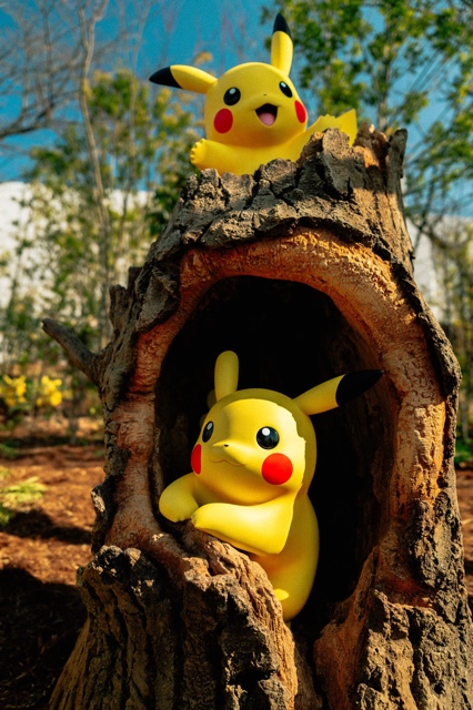 PokePark Kanto photograph
