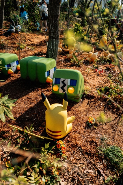 PokePark Kanto photograph