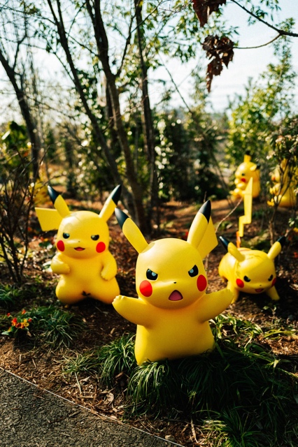 PokePark Kanto photograph