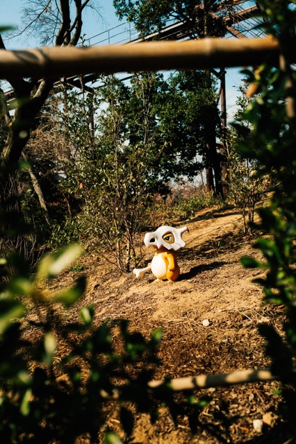 PokePark Kanto photograph