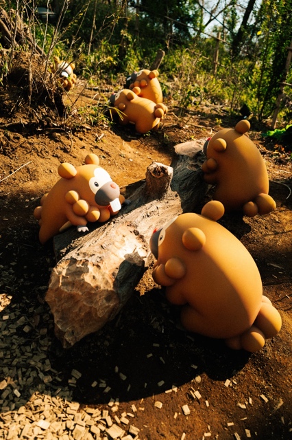 PokePark Kanto photograph